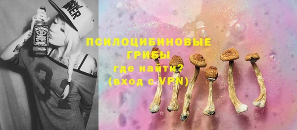 твердый Зеленокумск